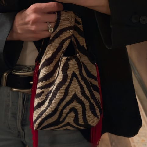 Chic Tassel Mini Zebra Handbag