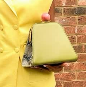Statement Ball-Clasp Snake-Print Crossbody Bag
