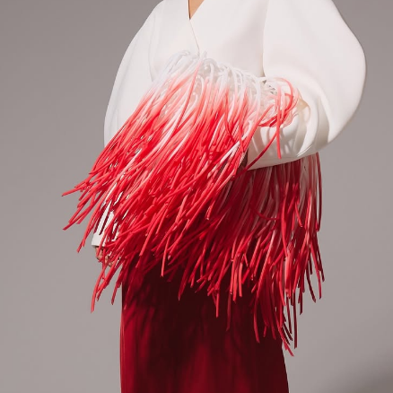 Statement Fringe Handbbag