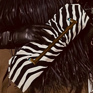 Bold Zebra Print Fashion Clutch