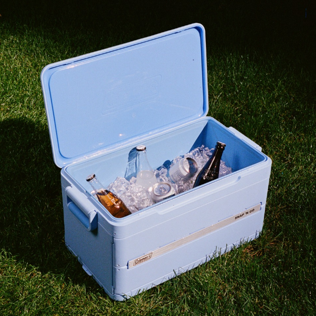 Foldable Compact Cooler