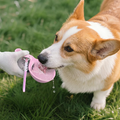 2-in-1 Portable Dog Water Bottle