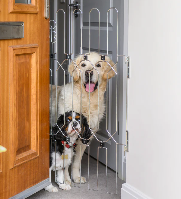 Dog’s Front Doors Gate