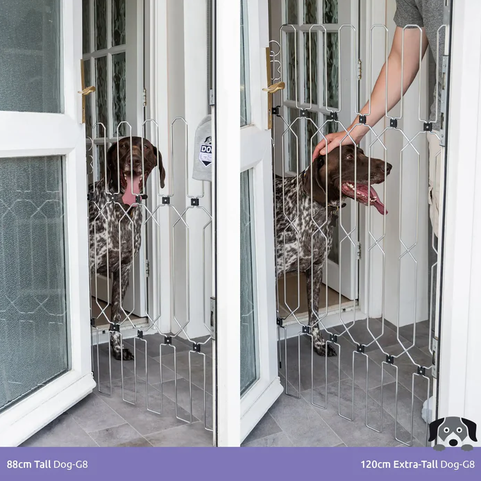 Dog’s Front Doors Gate