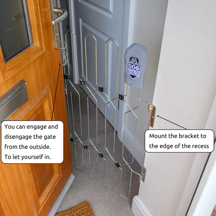 Dog’s Front Doors Gate