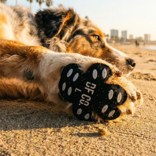 4-Pack Dog Anti Slip Paw Grips Traction Pads Dog Paw Protect