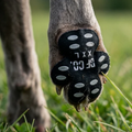 4-Pack Dog Anti Slip Paw Grips Traction Pads Dog Paw Protect