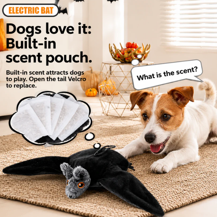 Flying Bat Toy For Hyperactive Dogs